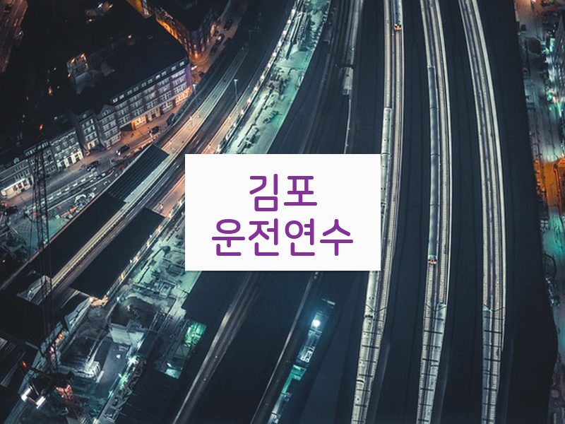 김포운전연수 후기