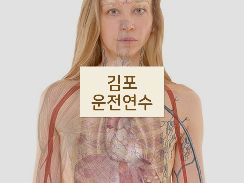 김포운전연수 후기