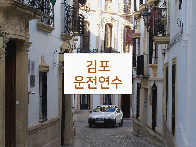 김포운전연수 후기