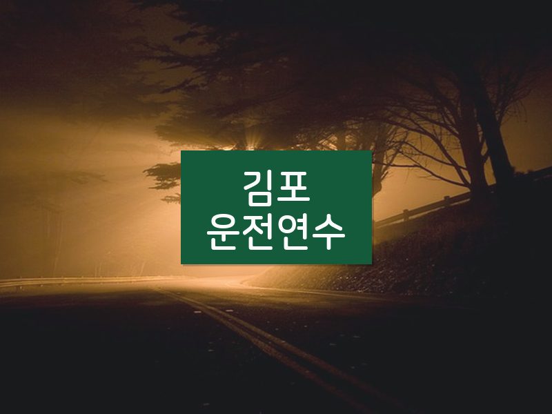 김포운전연수 후기