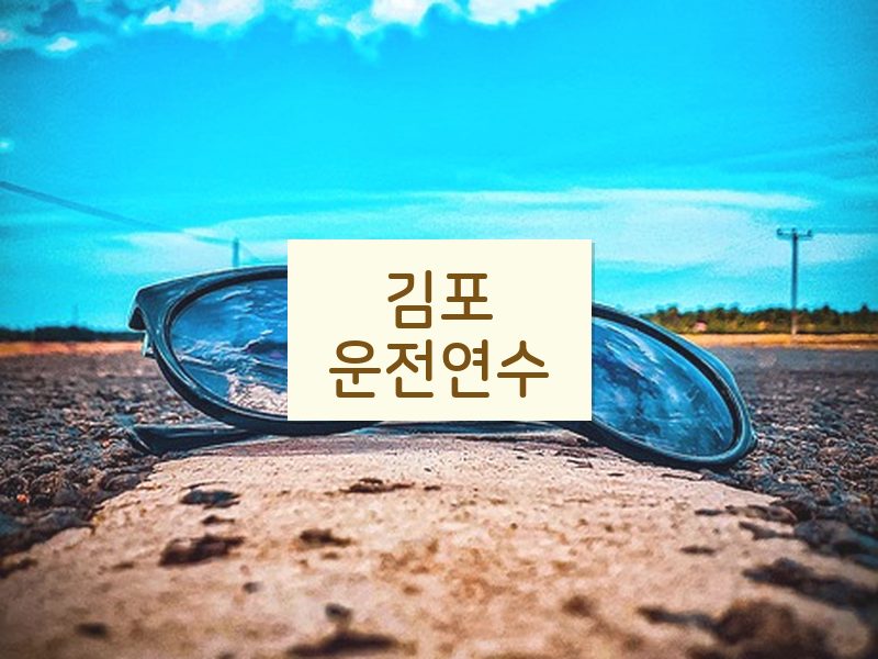 김포운전연수 후기