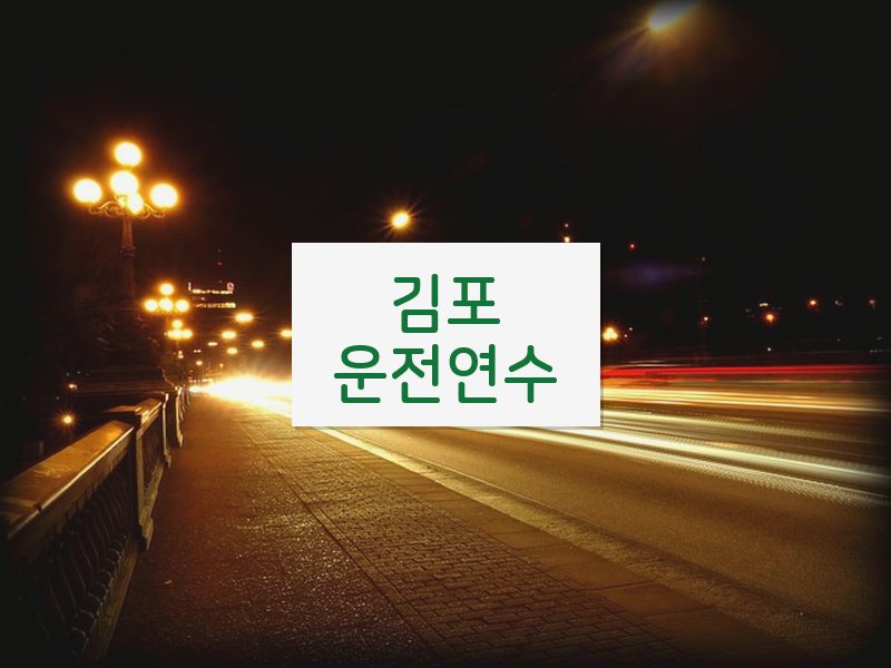 김포운전연수 후기