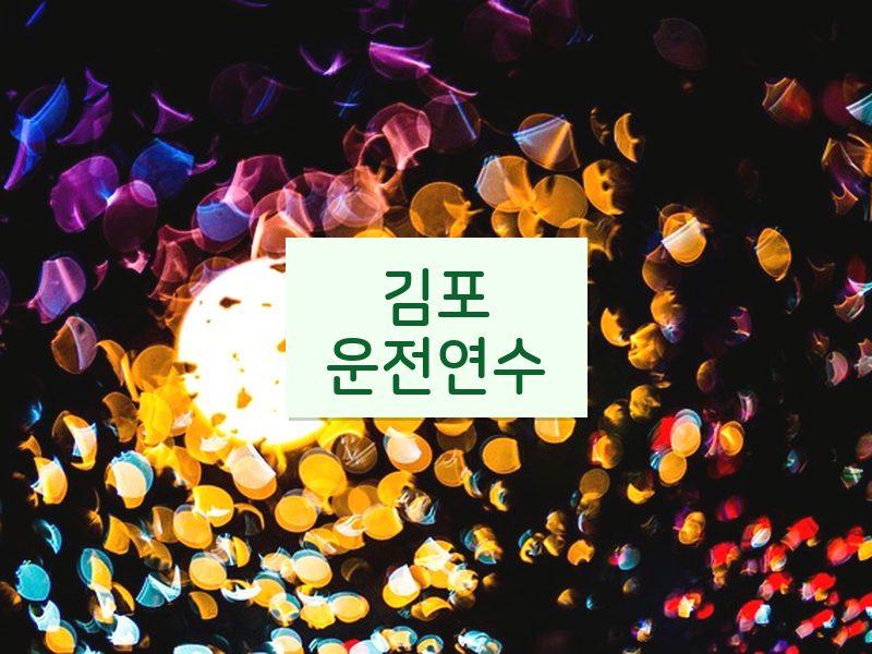 김포운전연수 후기