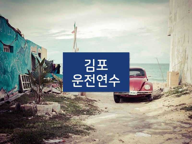 김포운전연수 후기