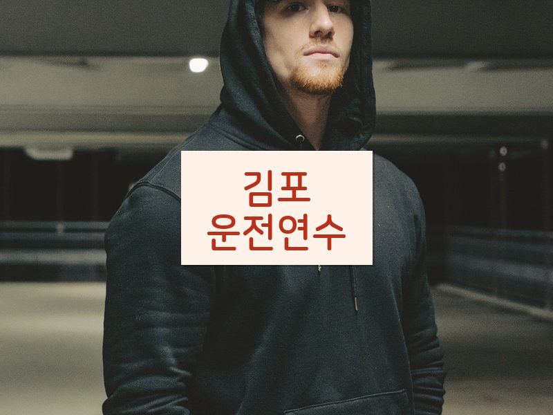 김포운전연수 후기