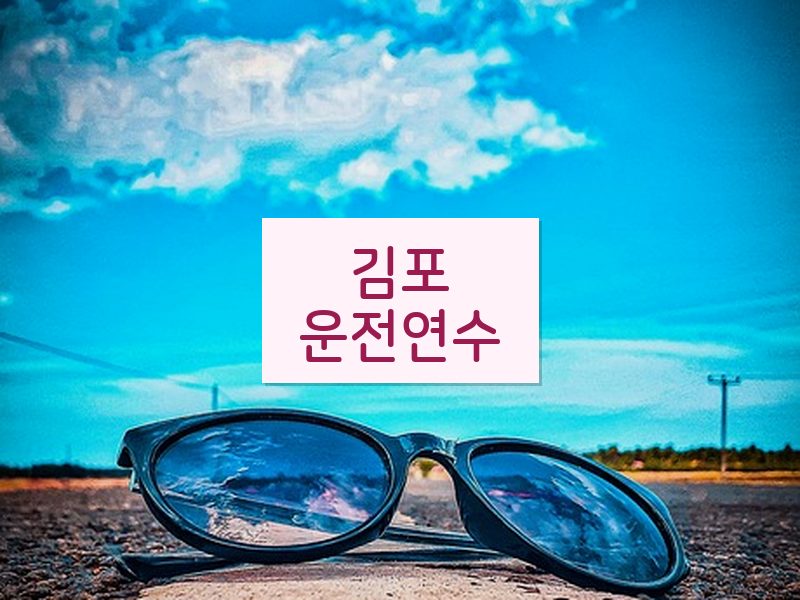 김포운전연수 후기