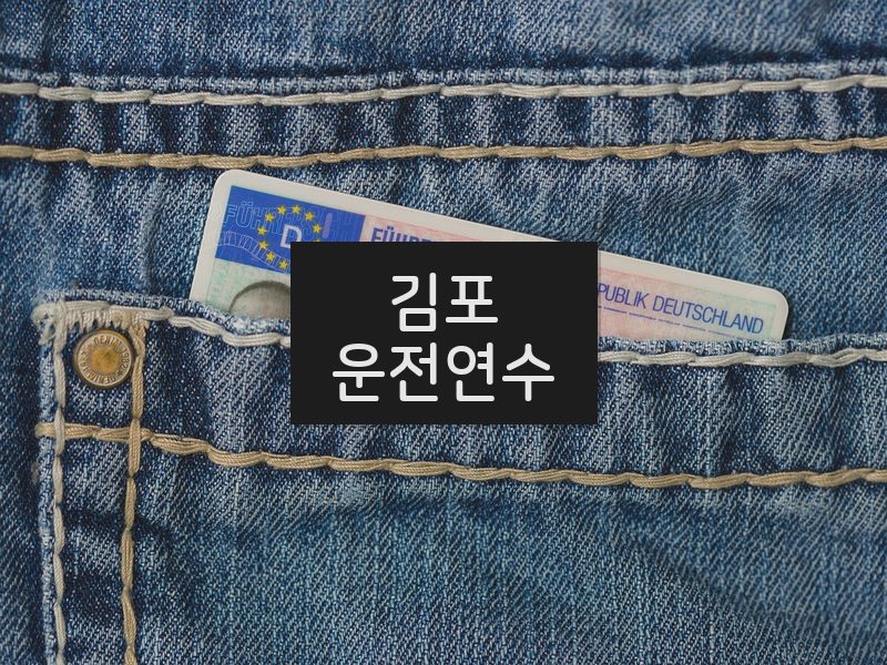 김포운전연수 후기