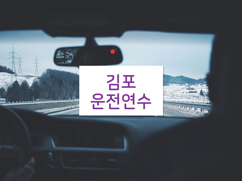 김포운전연수 후기
