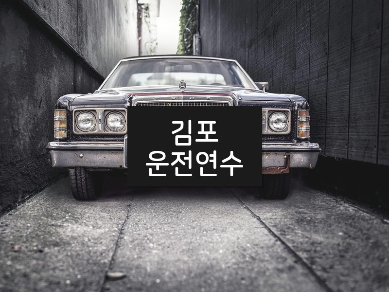 김포운전연수 후기