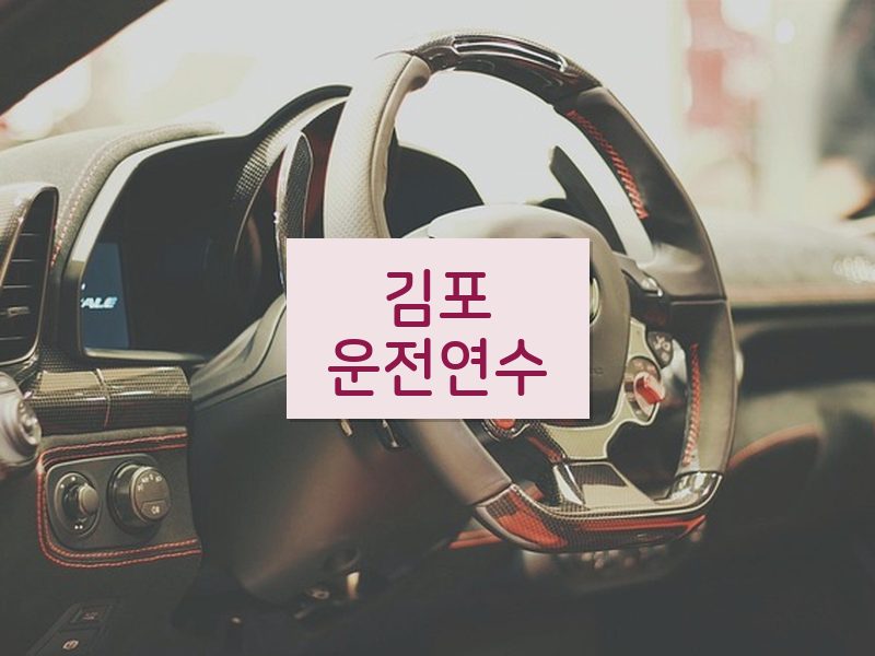 김포운전연수 후기