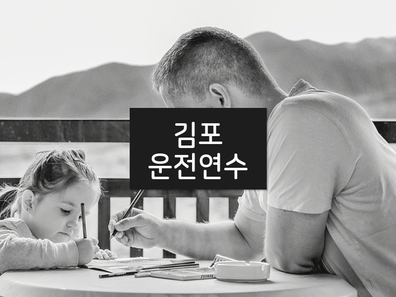 김포운전연수 후기