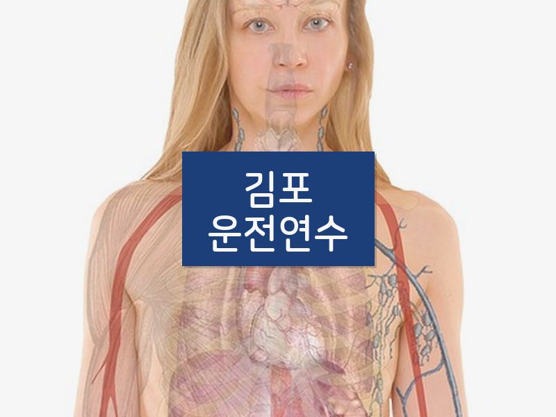 김포운전연수 후기