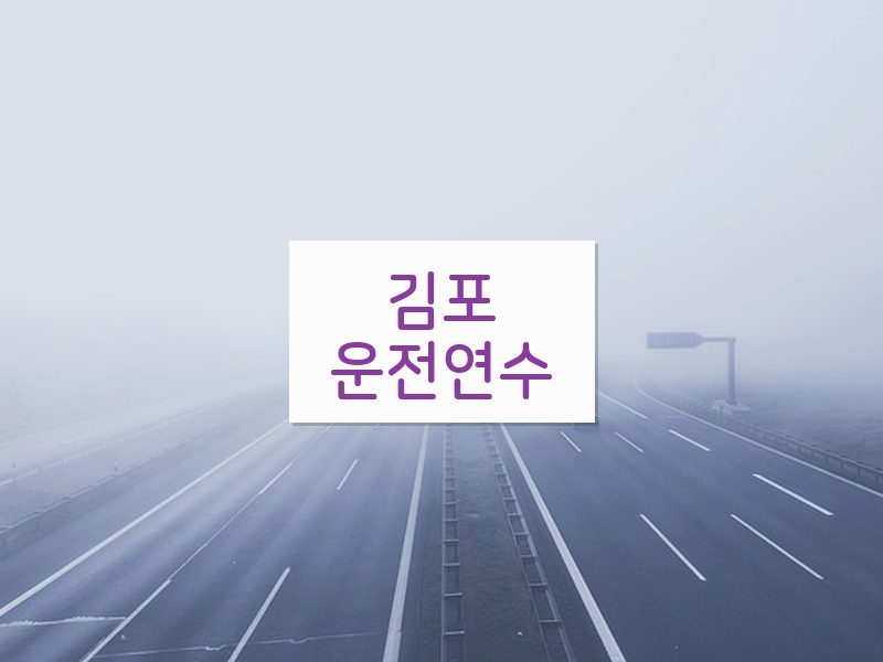 김포운전연수 후기