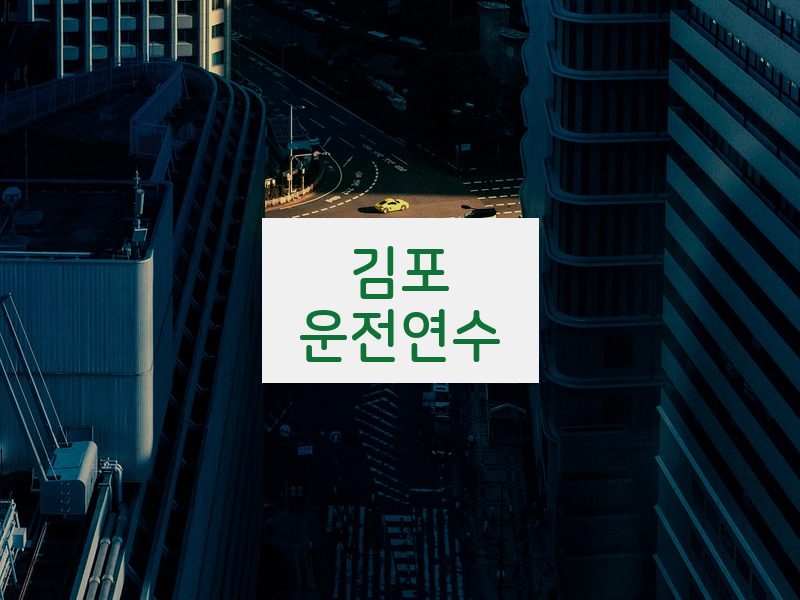 김포운전연수 후기
