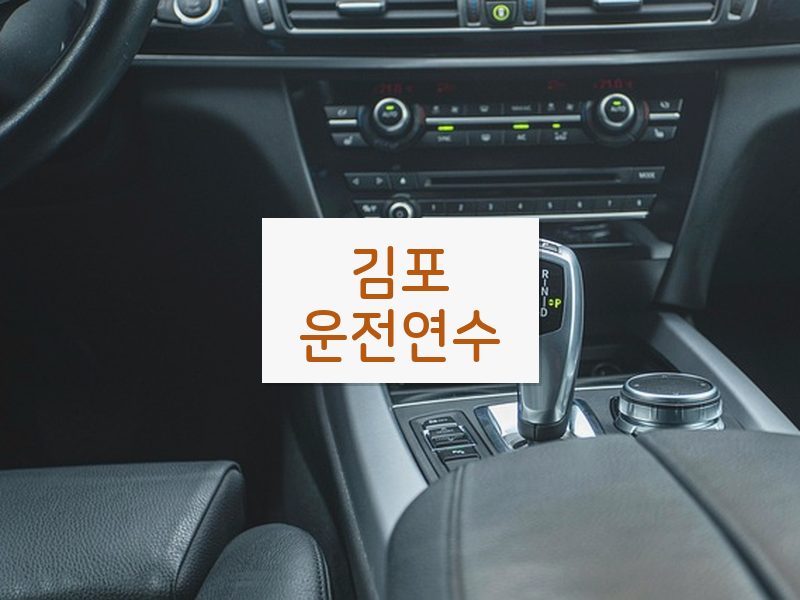 김포운전연수 후기