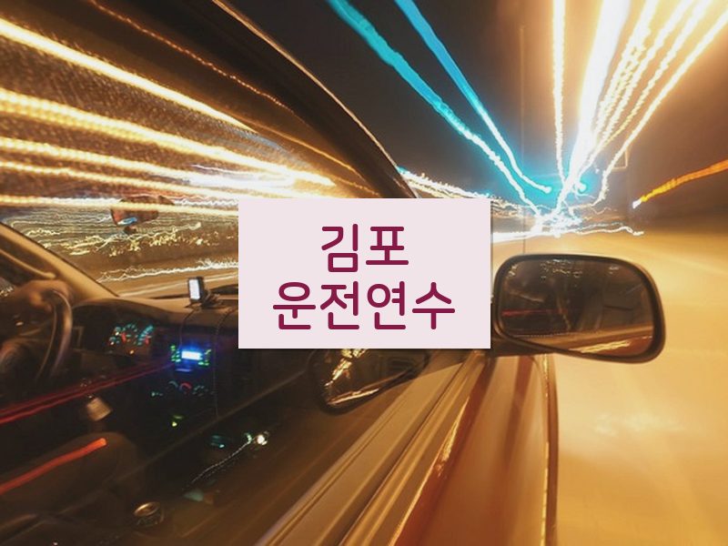 김포운전연수 후기