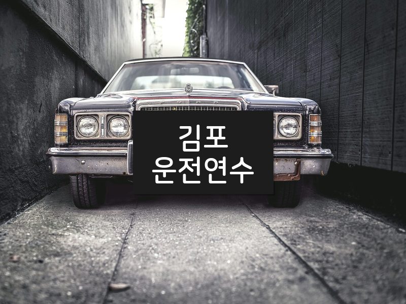 김포운전연수 후기