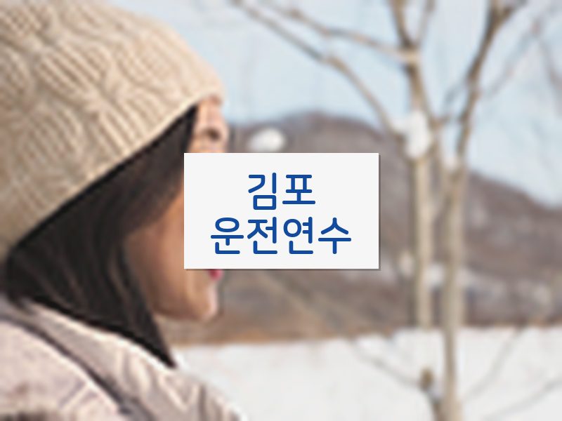 김포운전연수 후기