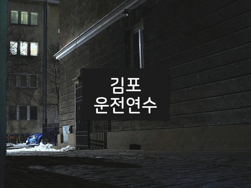 김포운전연수 후기