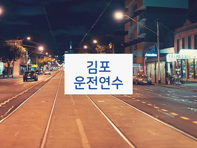 김포운전연수 후기