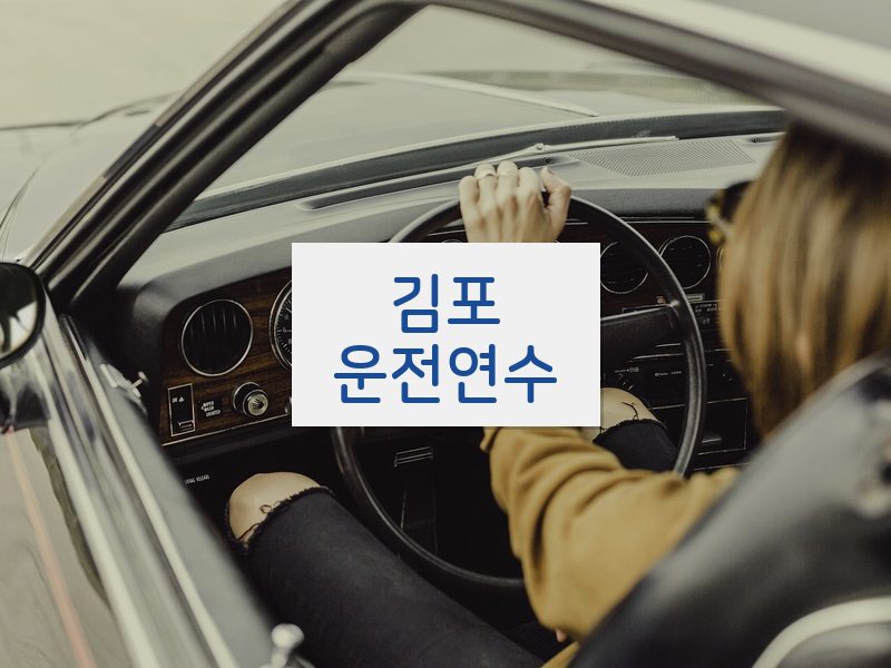 김포운전연수 후기