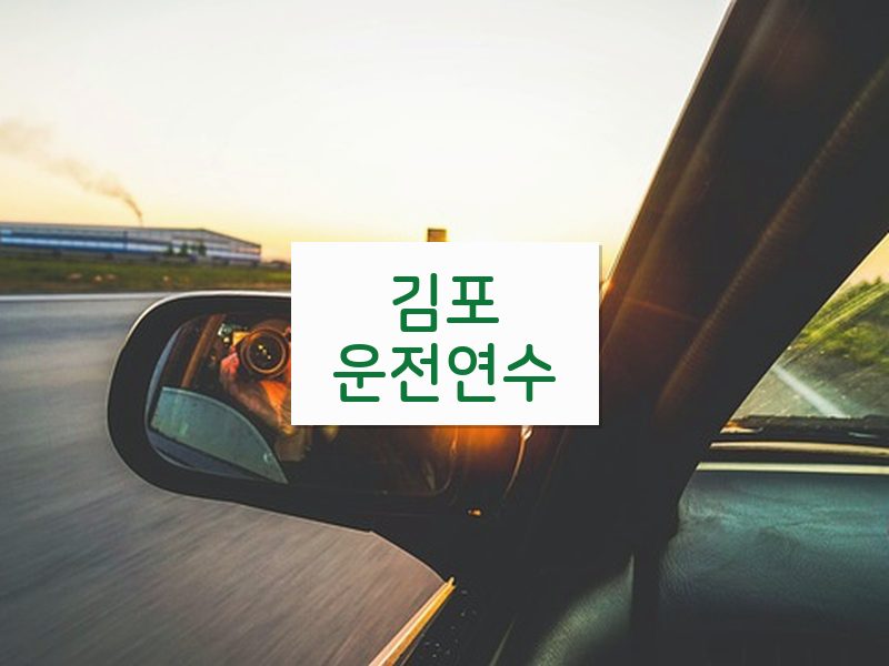 김포운전연수 후기