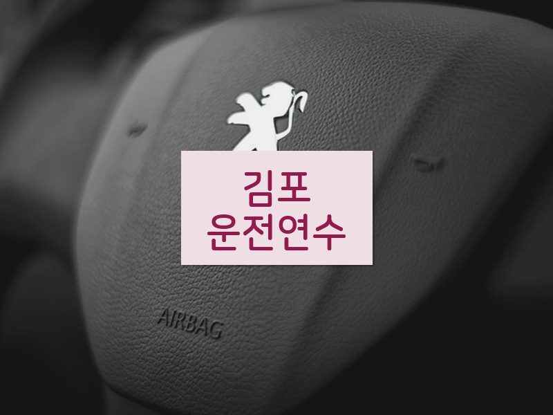 김포운전연수 후기