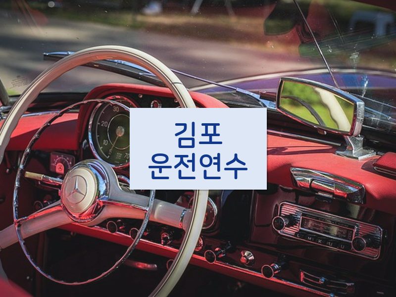 김포운전연수 후기