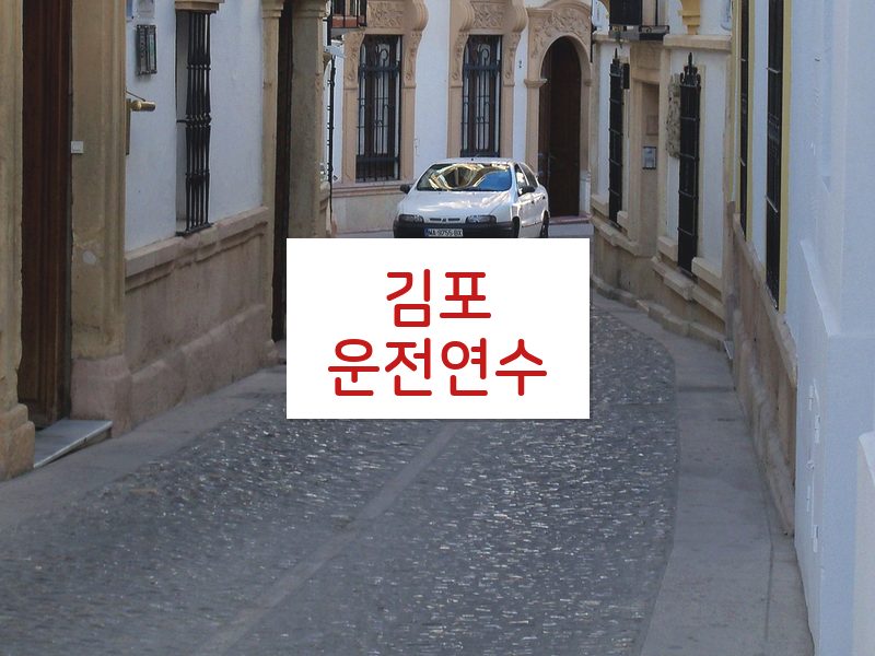 김포운전연수 후기