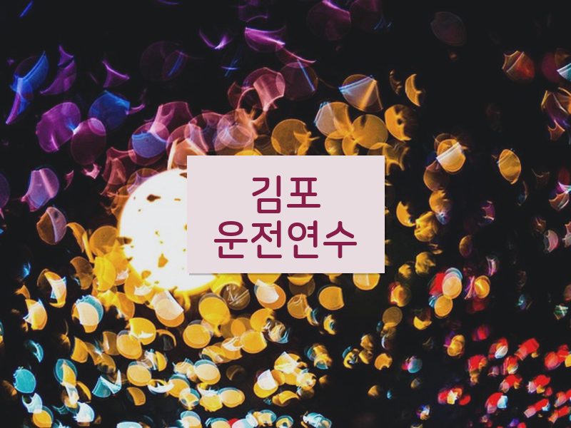 김포운전연수 후기
