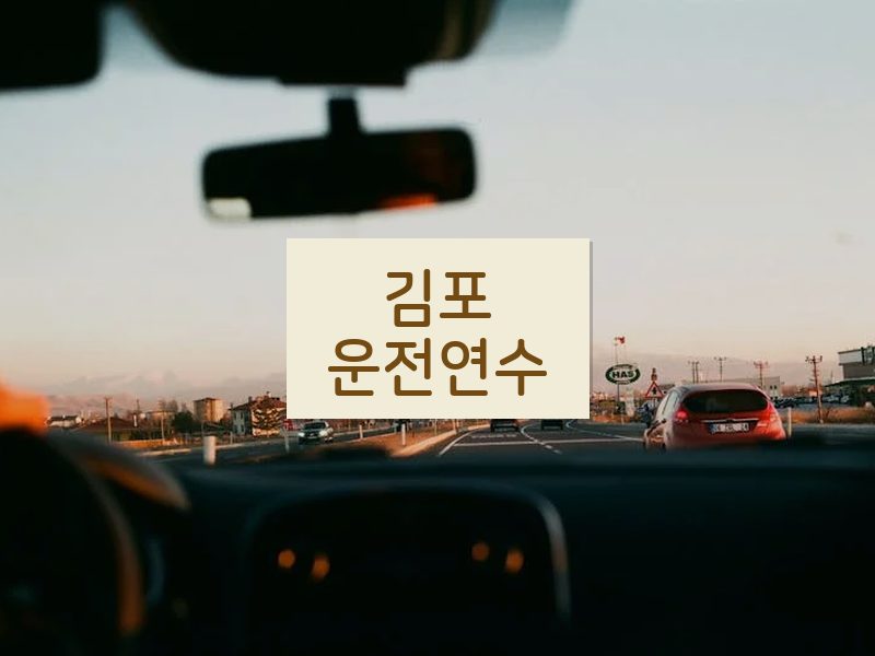김포운전연수 후기
