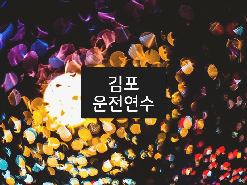 김포운전연수 후기