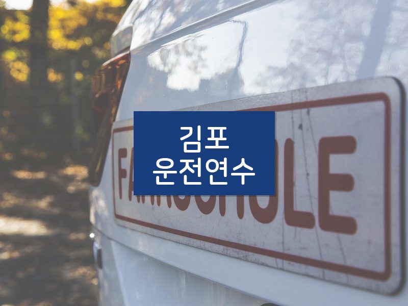 김포운전연수 후기