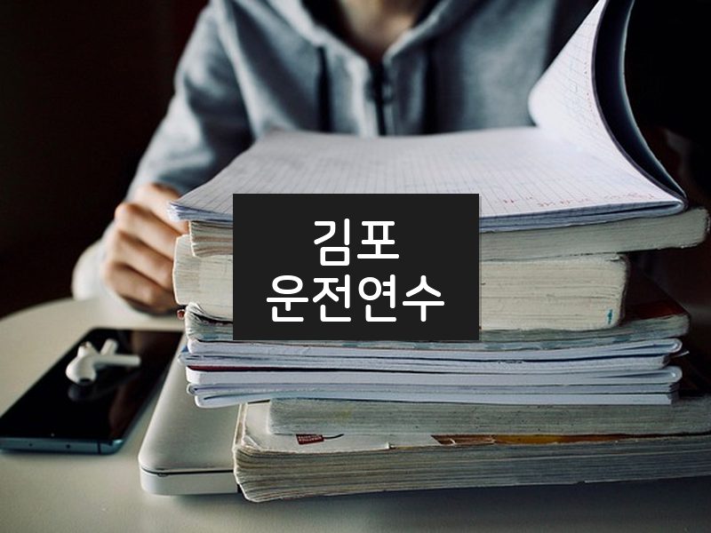 김포운전연수 후기
