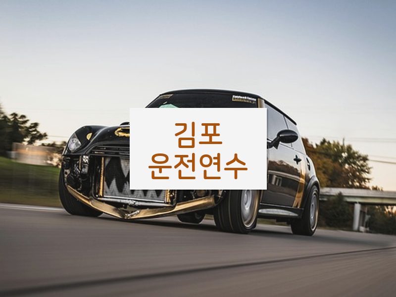 김포운전연수 후기