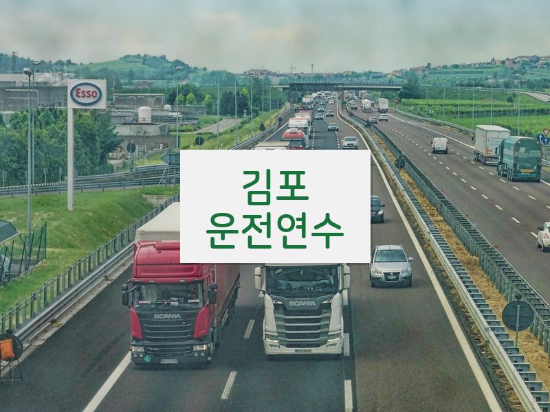 김포운전연수 후기