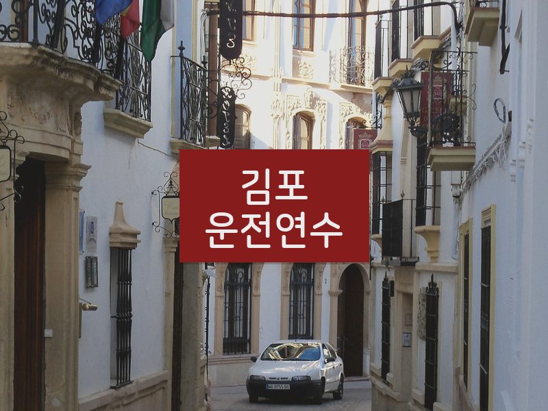 김포운전연수 후기