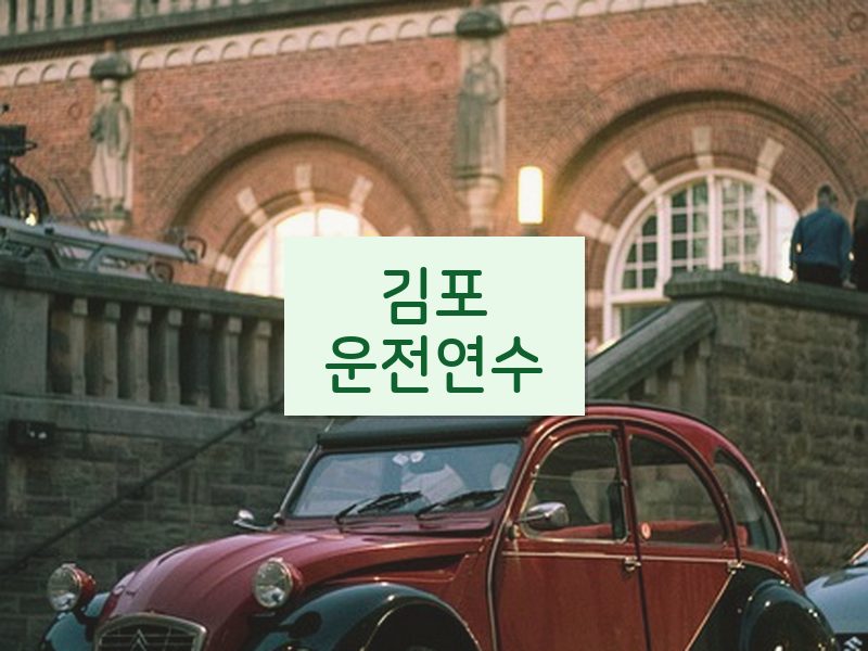 김포운전연수 후기