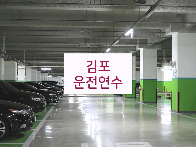 김포운전연수 후기