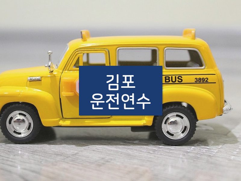 김포운전연수 후기