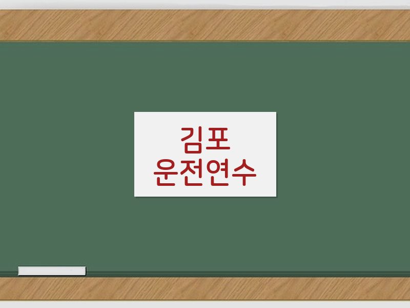 김포운전연수 후기