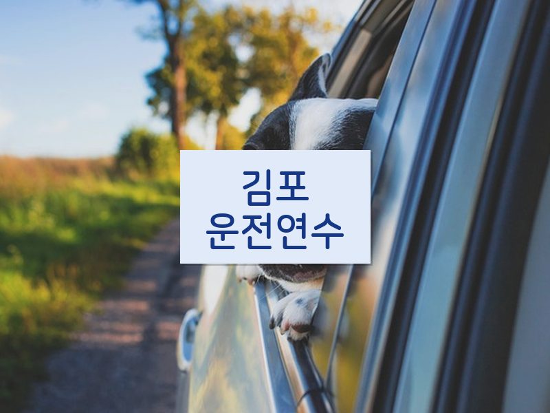 김포운전연수 후기