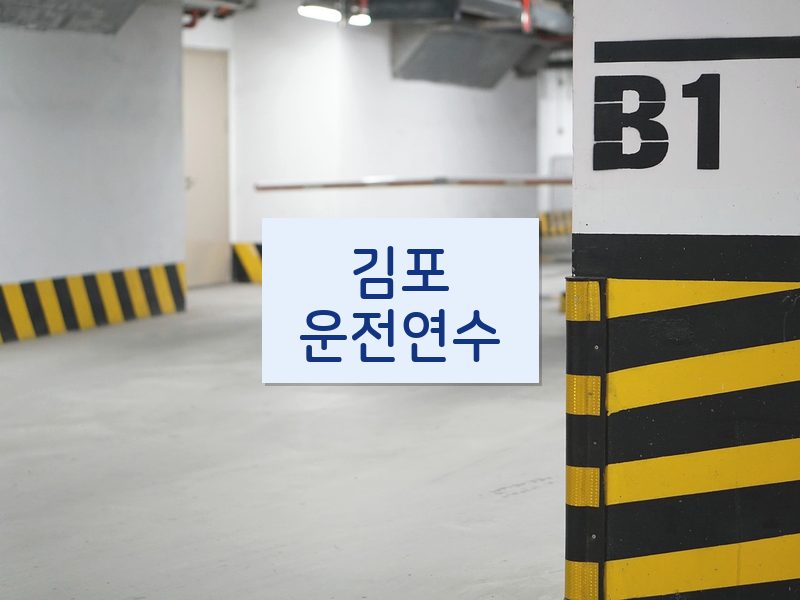 김포운전연수 후기