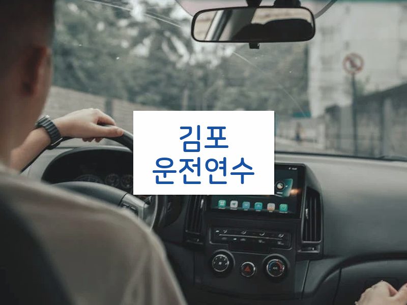 김포운전연수 후기