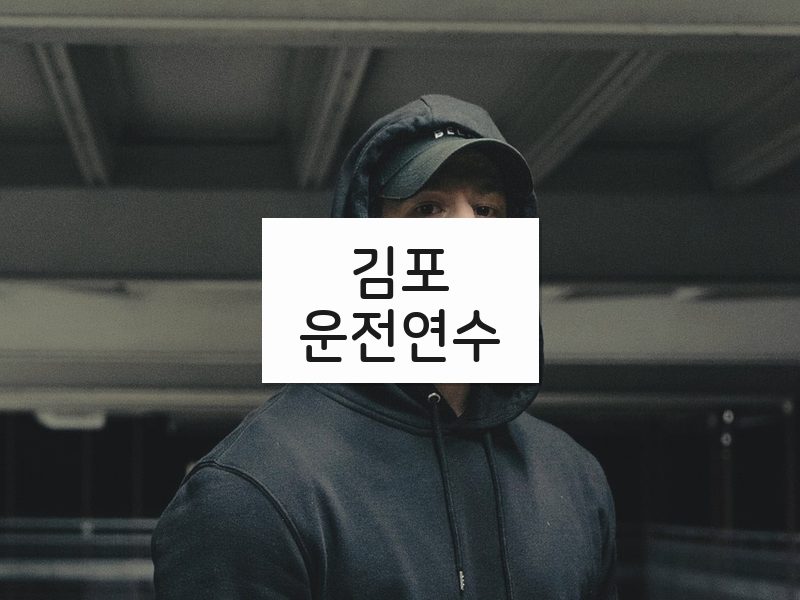 김포운전연수 후기