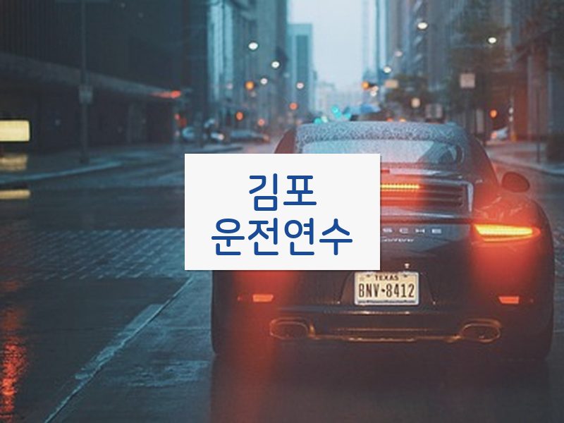 김포운전연수 후기