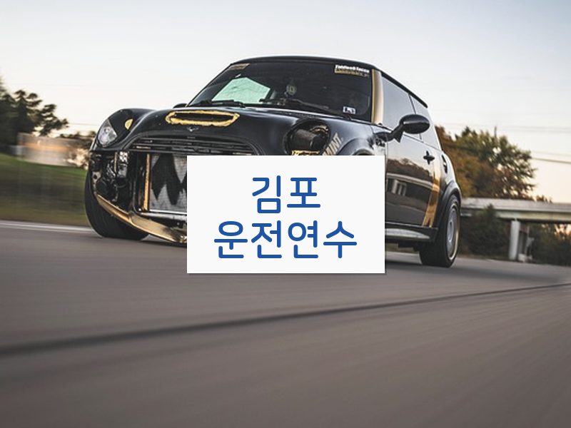 김포운전연수 후기