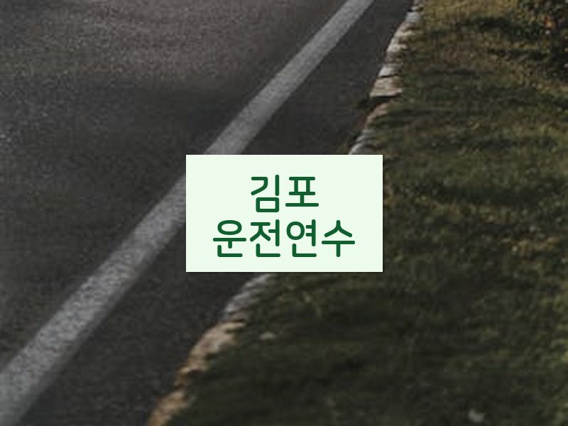 김포운전연수 후기