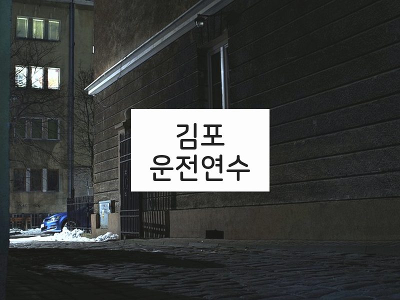 김포운전연수 후기