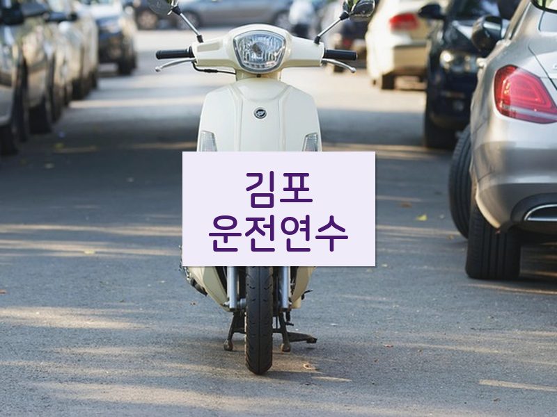 김포운전연수 후기